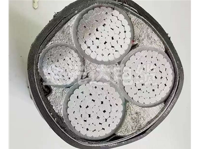 鋁芯低壓電纜 (6)