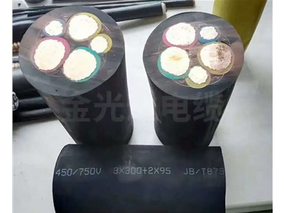 橡套電纜 (6)
