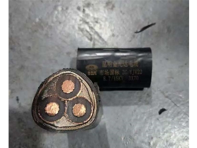 金光達電纜YJV22-3X70