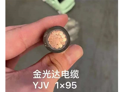 金光達(dá)電纜YJV-1X95