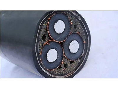 鋁芯高壓電纜 (5)